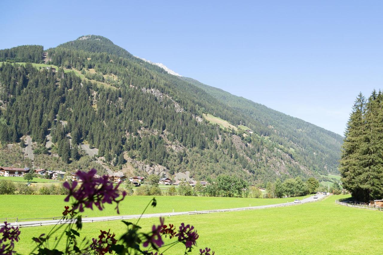 Pension Peter Neustift im Stubaital Exterior foto